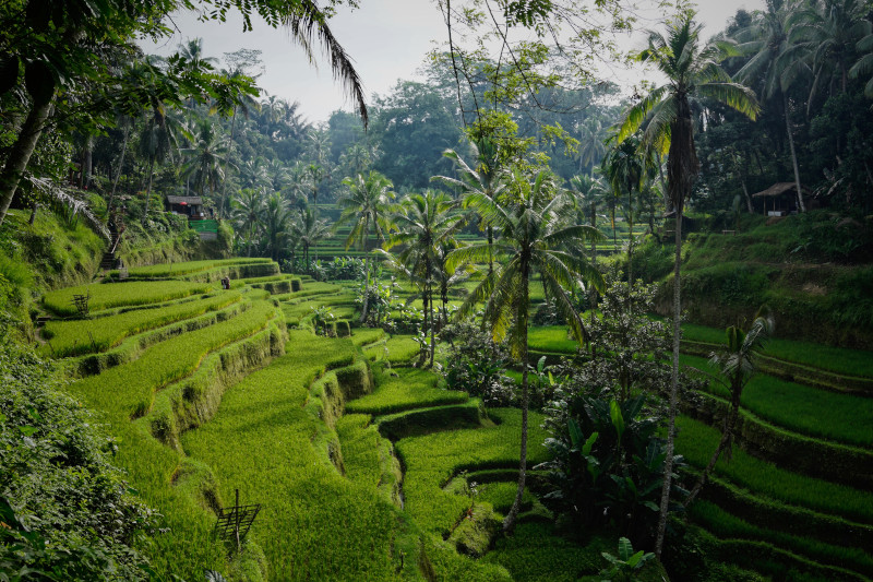 Czy warto jechać na Bali? Czyli co tak tłumnie przyciąga tam turystów